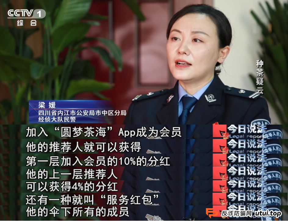 7万多名会员参与“云端种茶”，背后竟是精心编织的“致富”假象