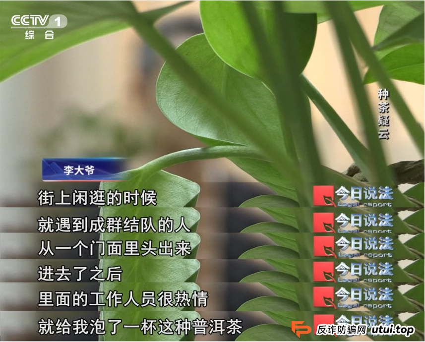 7万多名会员参与“云端种茶”，背后竟是精心编织的“致富”假象
