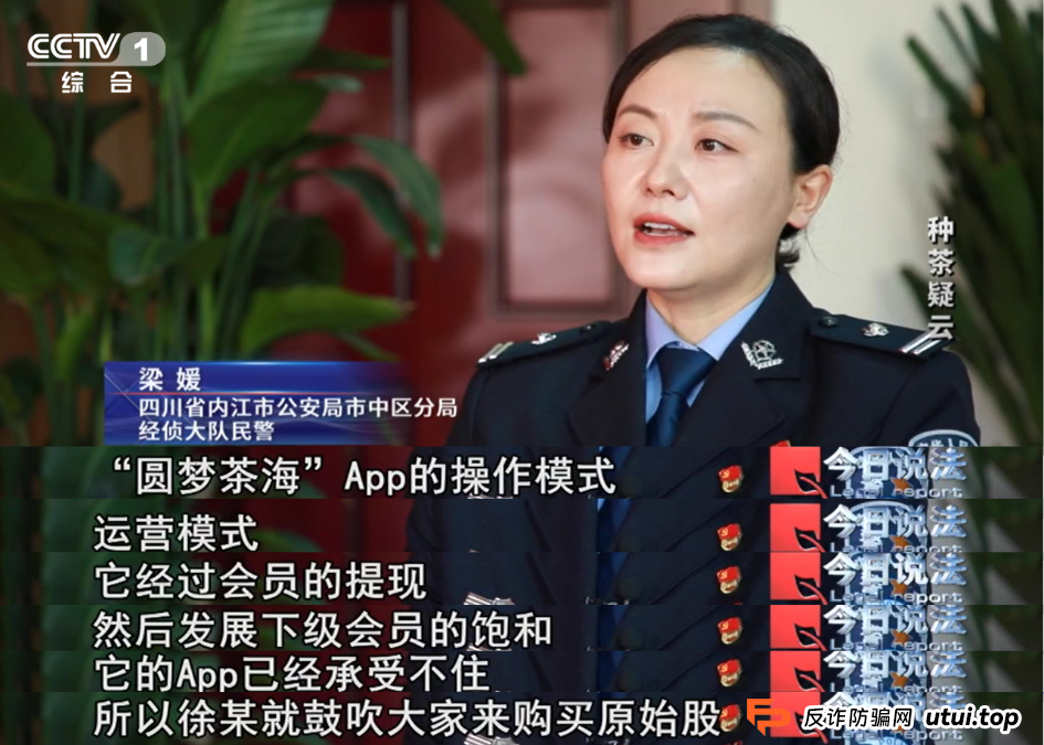 7万多名会员参与“云端种茶”，背后竟是精心编织的“致富”假象