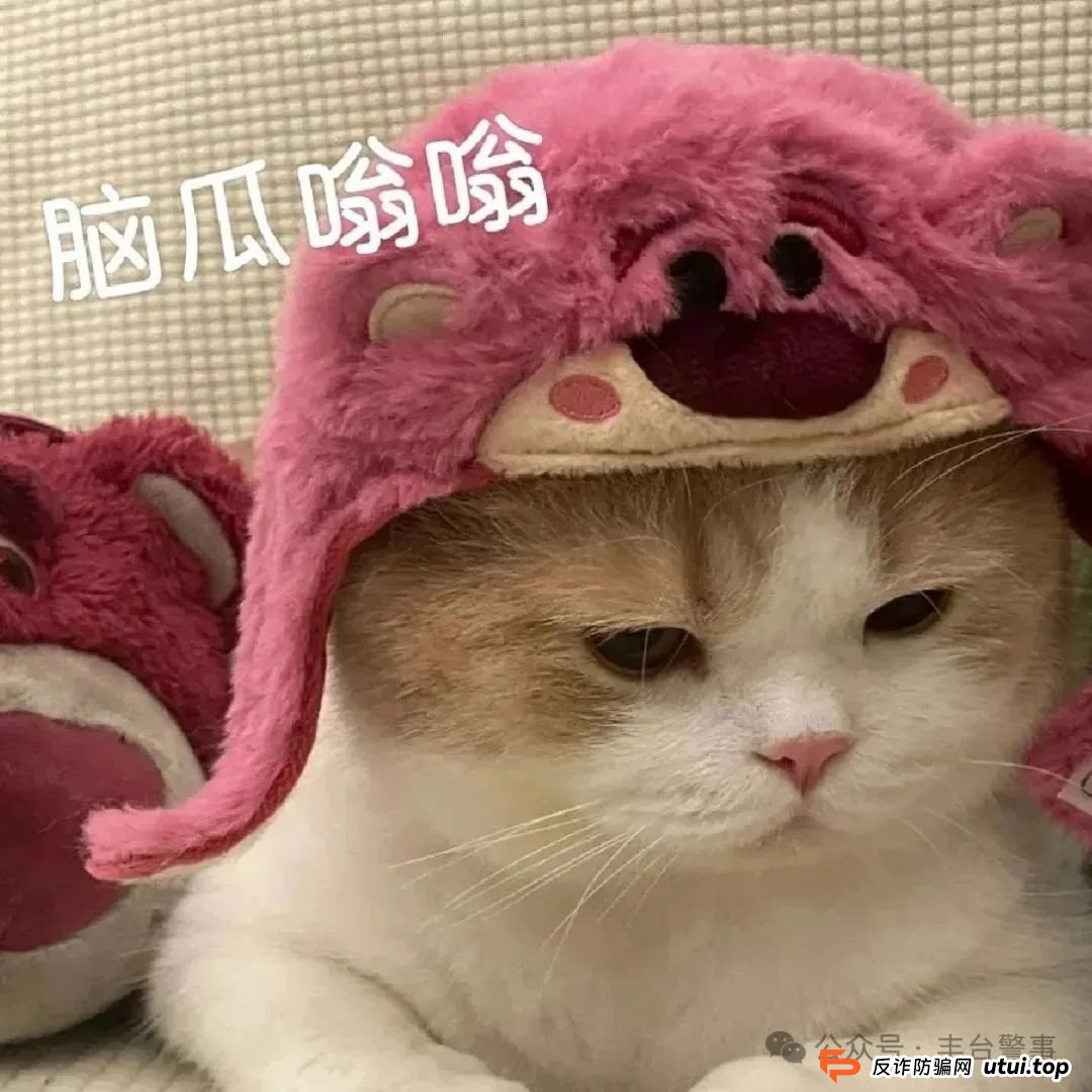 如何识破99%的仿冒金融机构骗局？（附赠官方验证通道）
