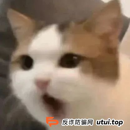 带你“投资”赚大钱？小心一夜暴“负”！
