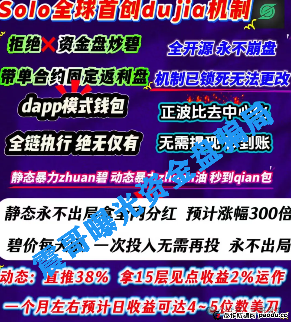 扒皮【SOLO】：这破项目连代币都搜不到，你还敢往里冲？