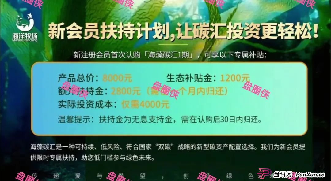 9月23日曝光:最新资金盘骗局《海洋牧场,ARK,olga欧嘉,e充电,CFXH-DAO》随时可能卷钱跑路(2) 9月23日曝光:最新资金盘骗局《海洋牧场,ARK,olga欧嘉,e充电,CFXH-DAO》随时可能卷钱跑路(2)