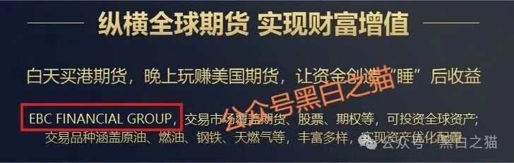 资金盘｜诈骗园区虚构“鸿运万交所”，冒用柬埔寨歌手当创始人，伪造项目实施非法行为......(10)