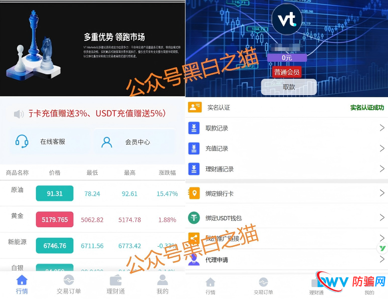 外汇盘｜境外“Vt Markets”遭仿冒，国内吸金不止，杀猪盘骗局又起......(5)