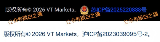 外汇盘｜境外“Vt Markets”遭仿冒，国内吸金不止，杀猪盘骗局又起......(3)