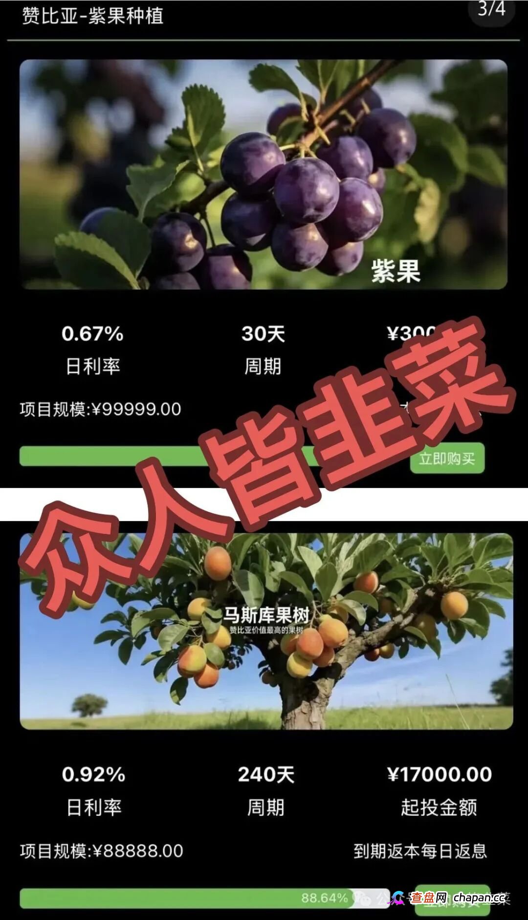 别再送钱了！“华洋绿投，新永安国际，流动未来，智汇社”这4个项目都是骗局，已卷走玩家血汗钱上百亿！赶紧远